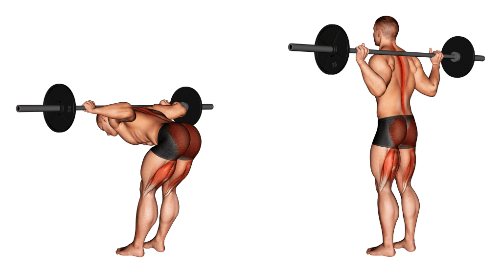 5 Effective Glute Ham Raise Alternatives (With Pictures!) - Inspire US (3)