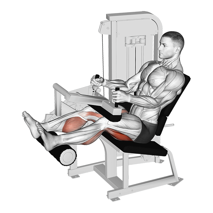 5 Effective Glute Ham Raise Alternatives (With Pictures!) - Inspire US (5)