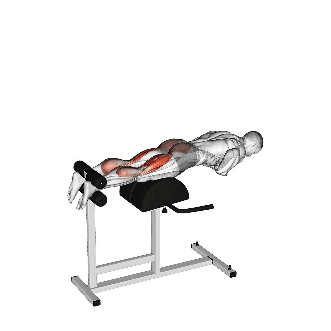5 Effective Glute Ham Raise Alternatives (With Pictures!) - Inspire US (1)
