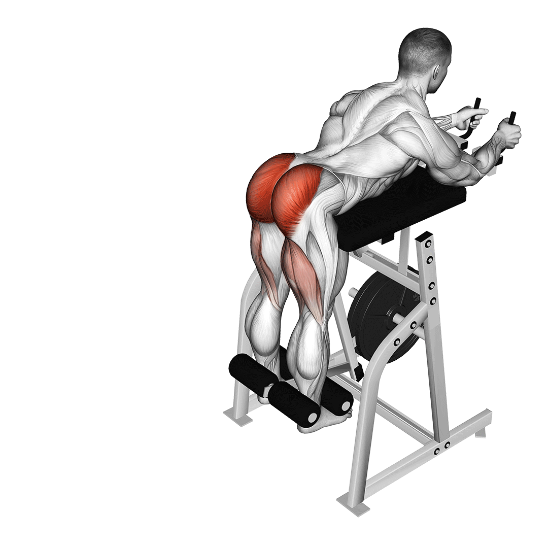 5 Effective Glute Ham Raise Alternatives (With Pictures!) - Inspire US (7)