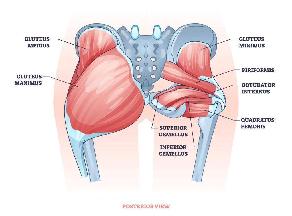 5 Effective Glute Ham Raise Alternatives (With Pictures!) - Inspire US (8)